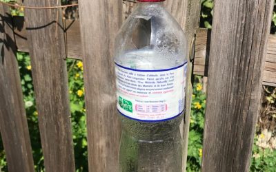 Comment fabriquer un piège à frelons et à guêpes ?